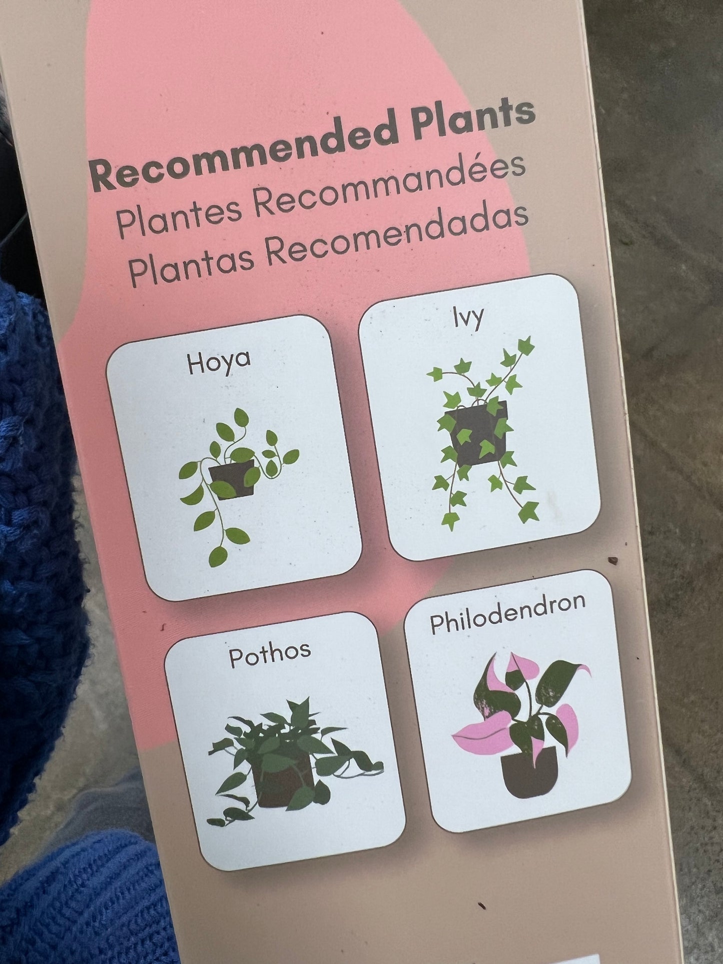 Ensemble de 3 Tuteurs Flexibles Moss Pole Mince 42"