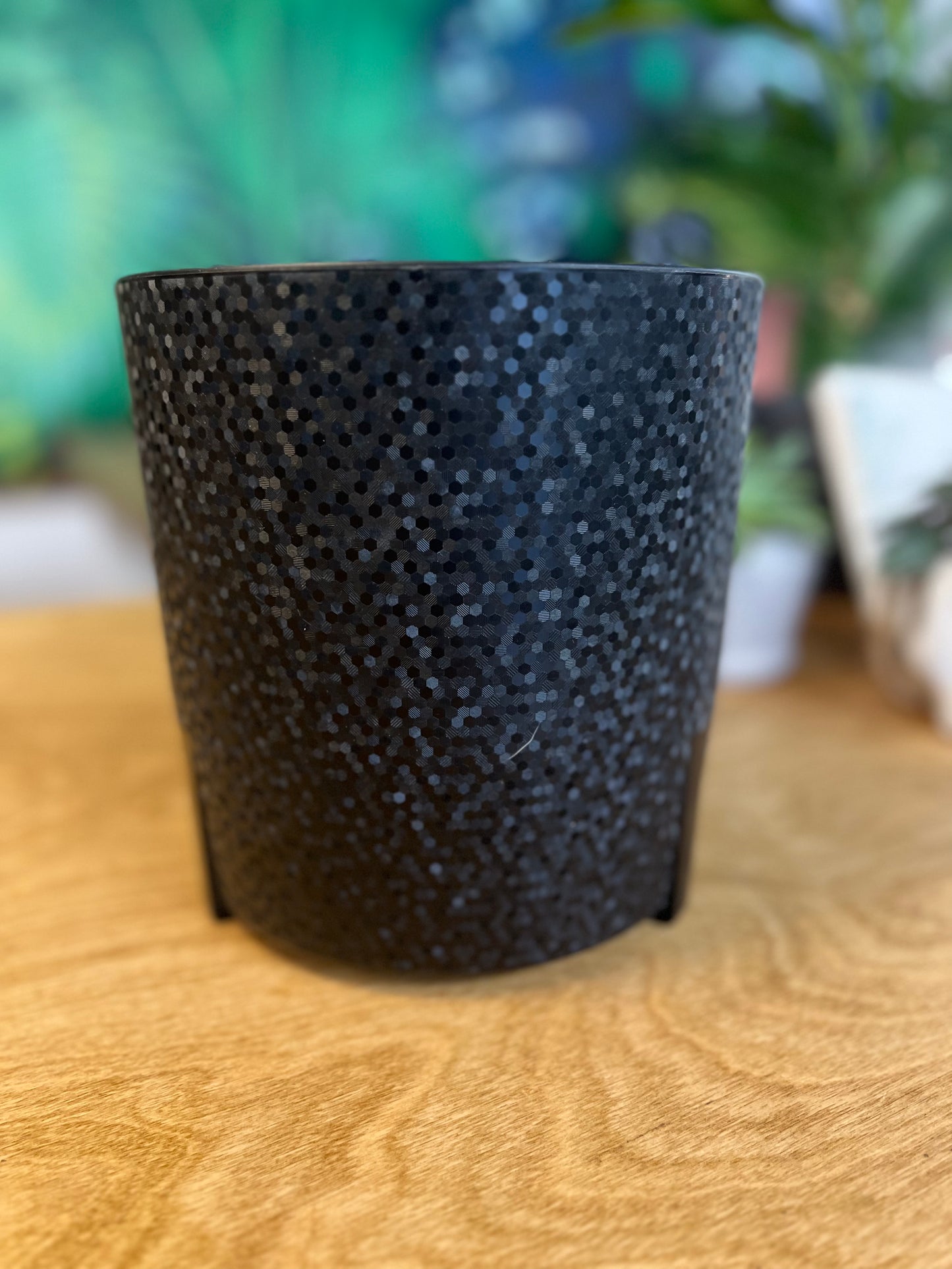 Sirius Black Planter