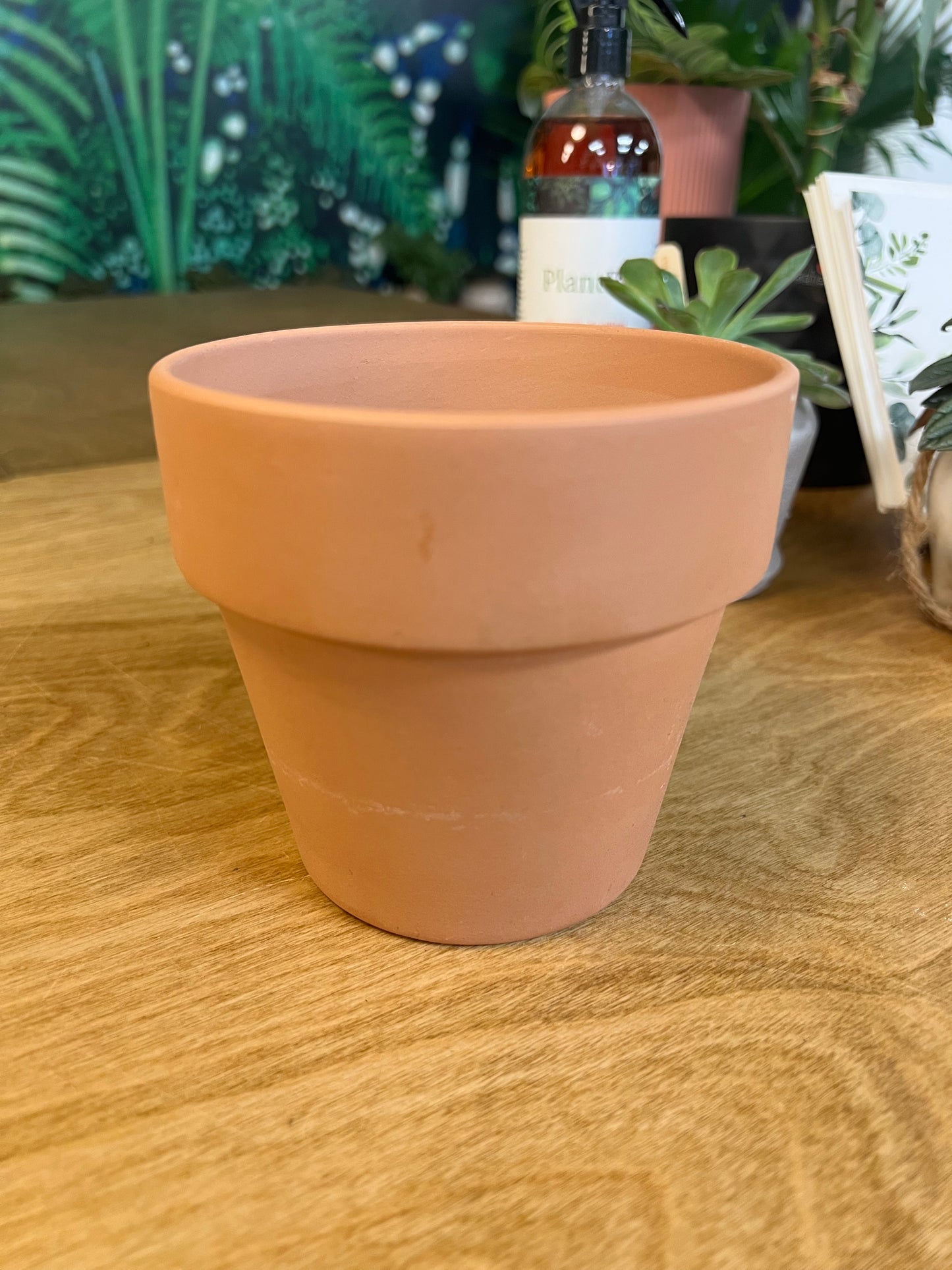Clay Amy Terra Cotta Pot