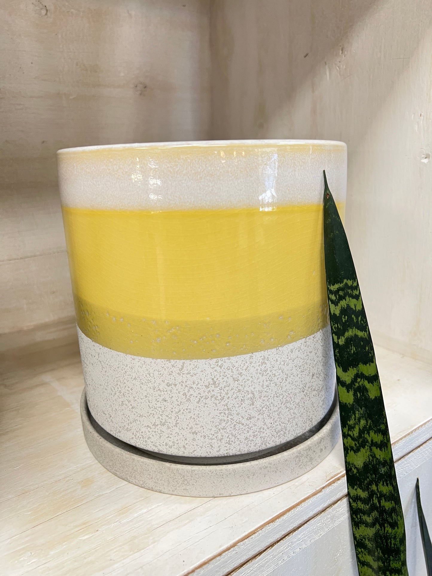 Pot & Soucoupe Minute Jaune