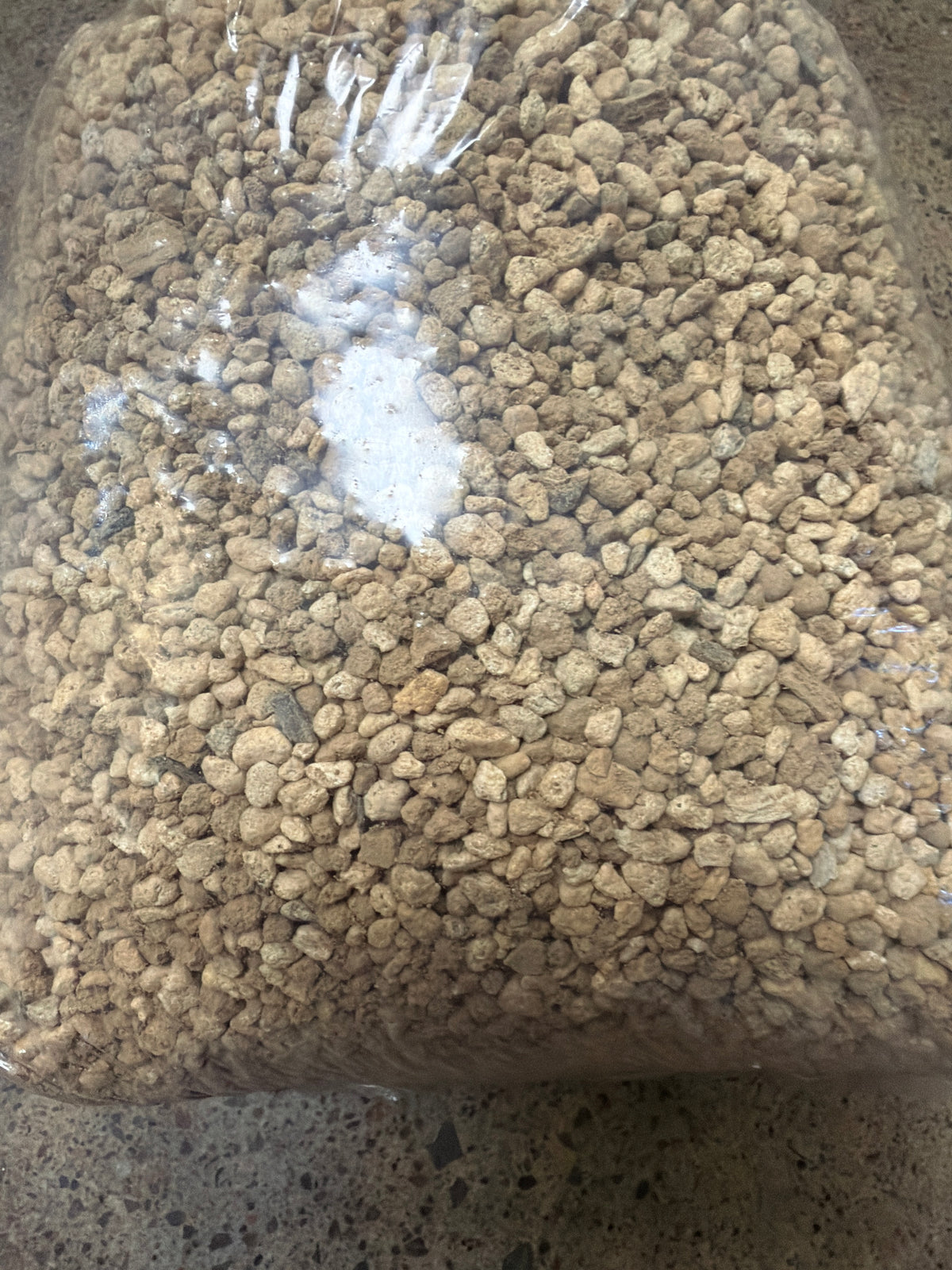 Mélange Bonsaï – 5 lb