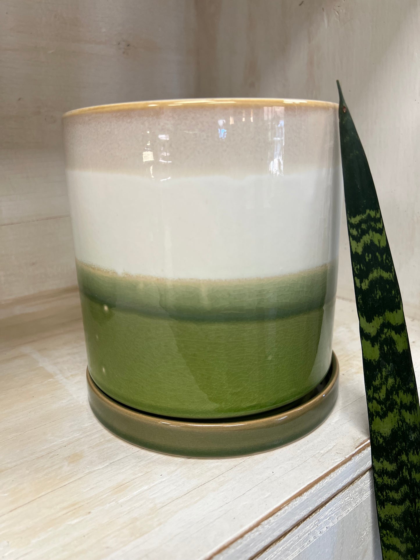 Pot & Soucoupe Minute Vert