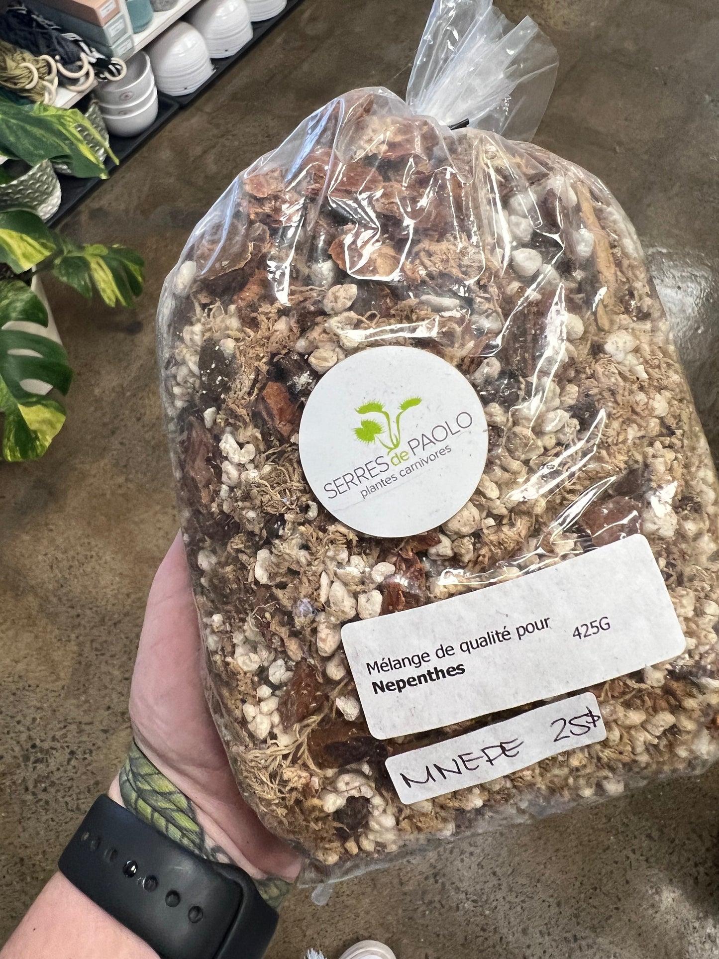 Nepenthes Mix
