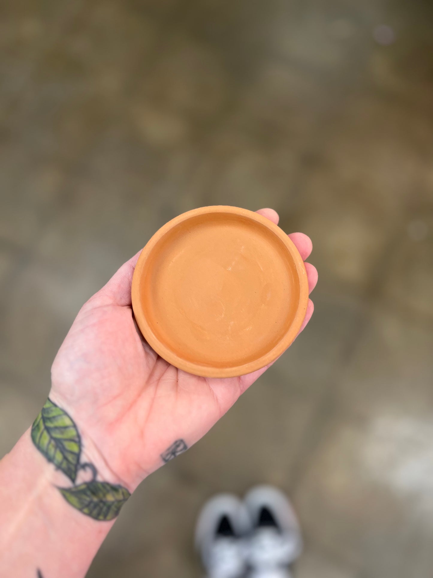 Terra Cotta Plate