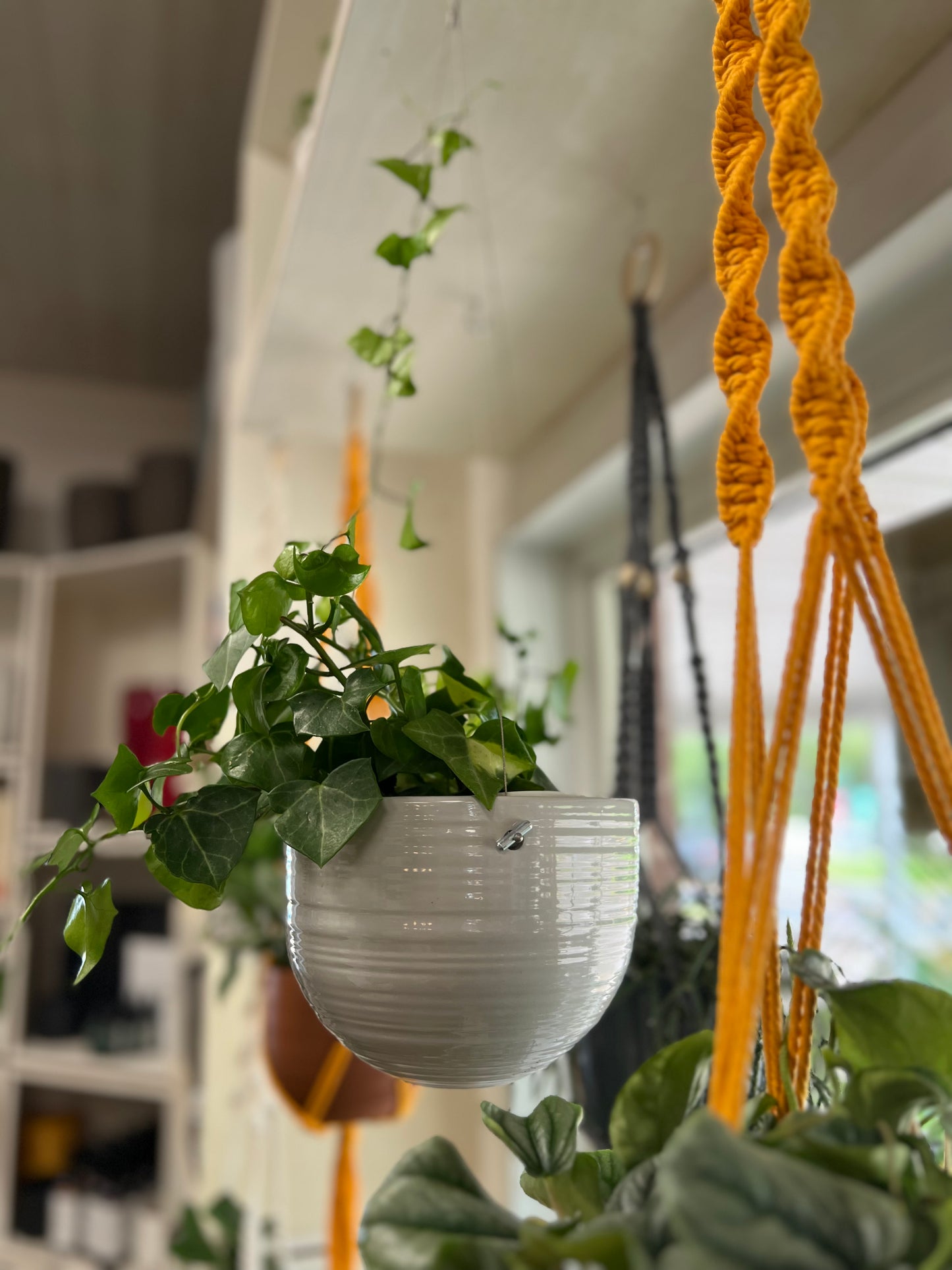 Bergamo Hanging Planter Gray