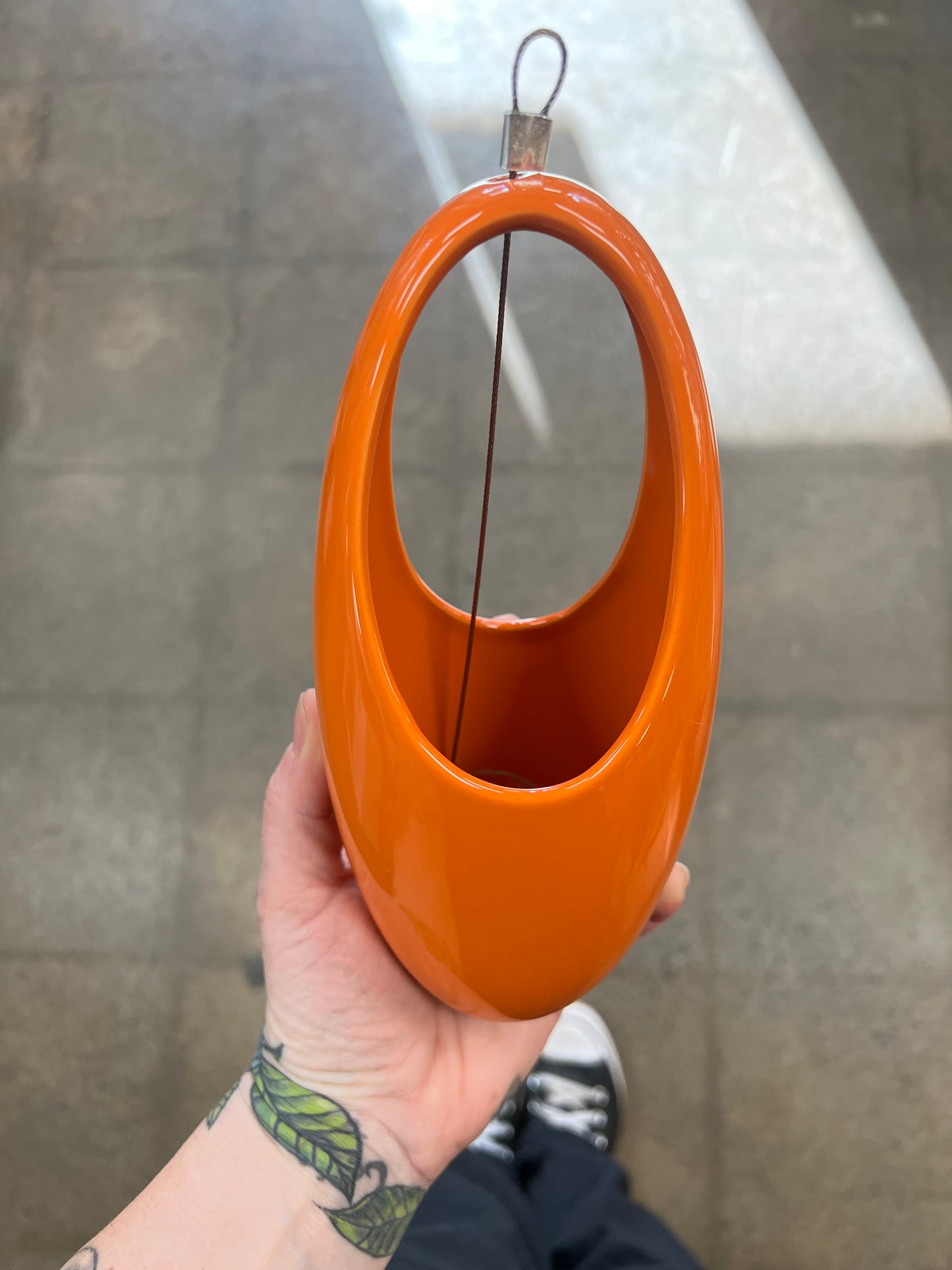 Aerium hanging planter