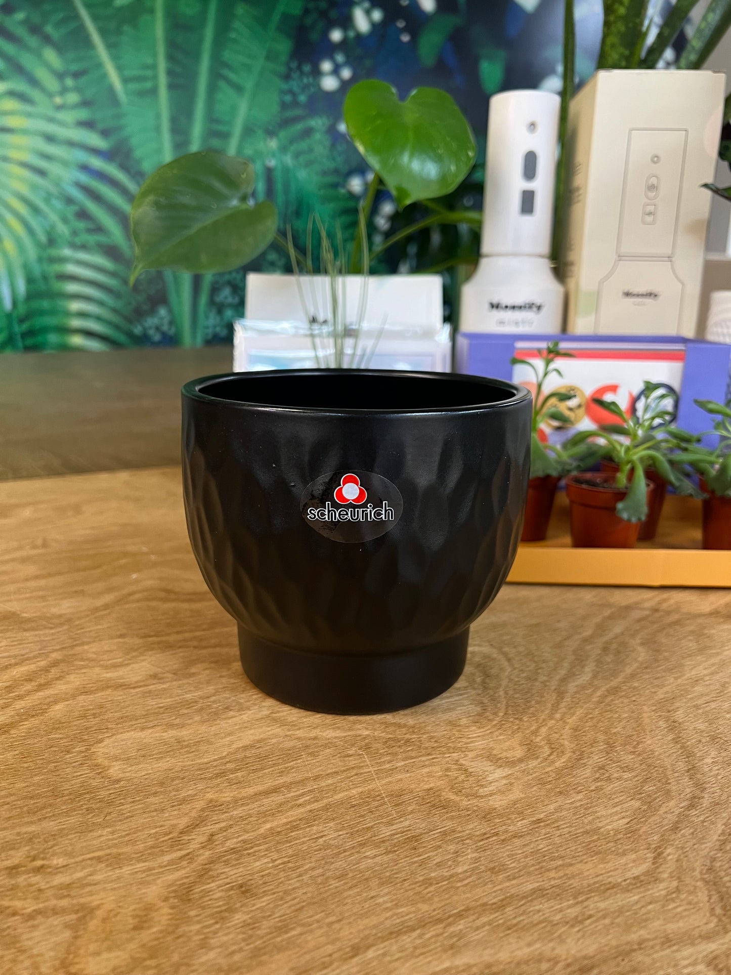 Cache pot Afrique