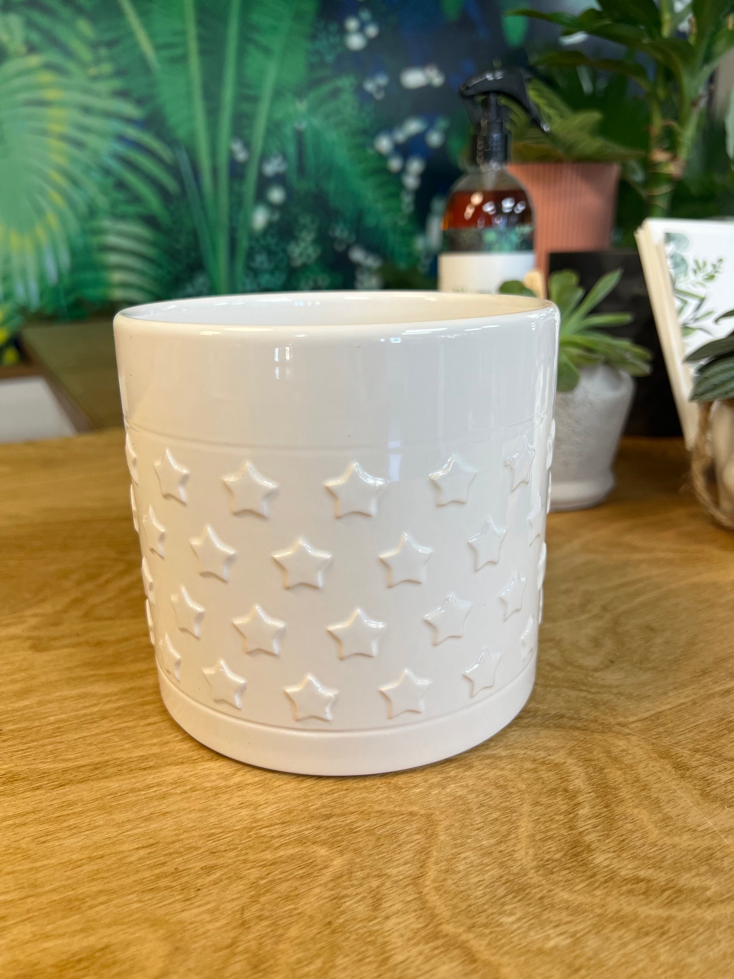 White Twinkle Planter