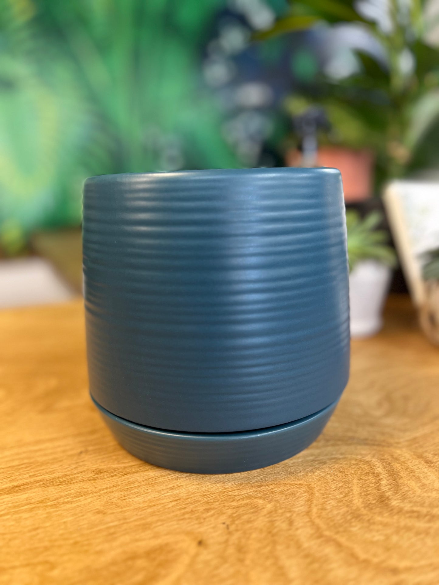 Linea Blue Plant Pot