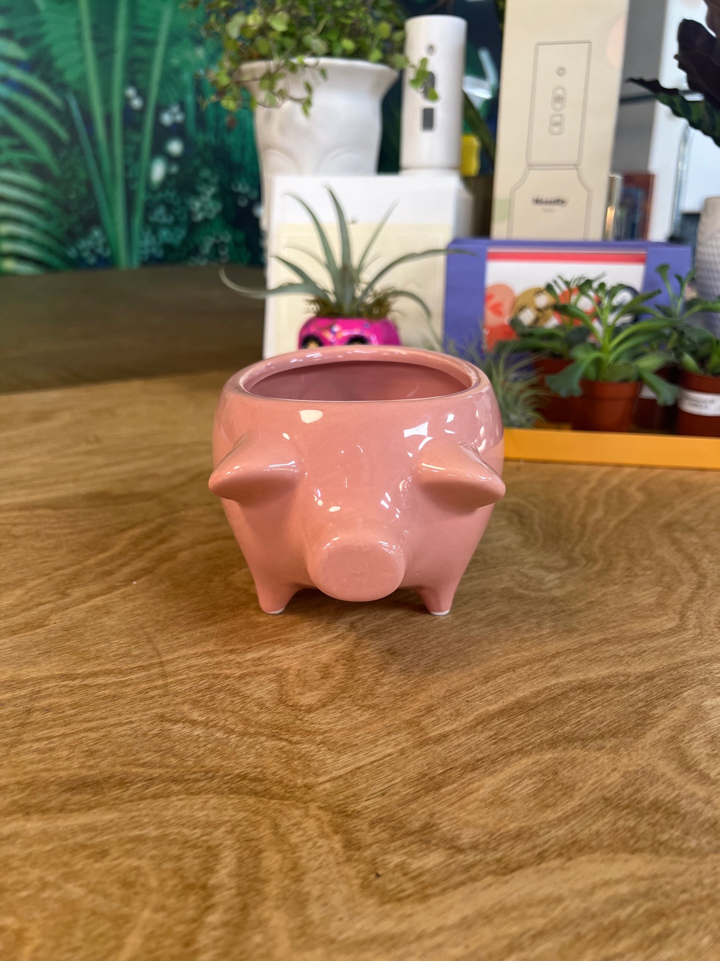Cache pot Cochon