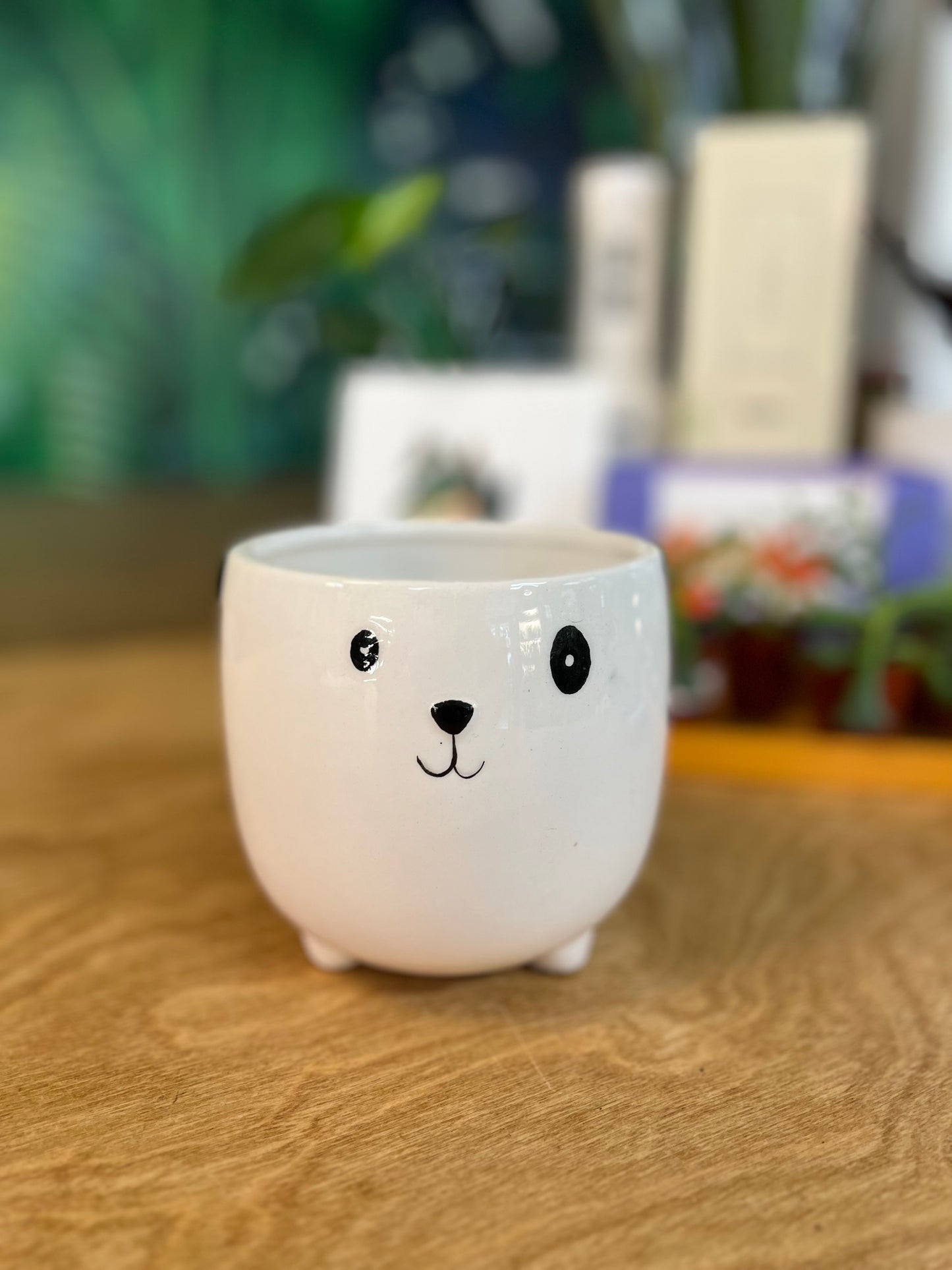 Cache pot Animaux Asst.