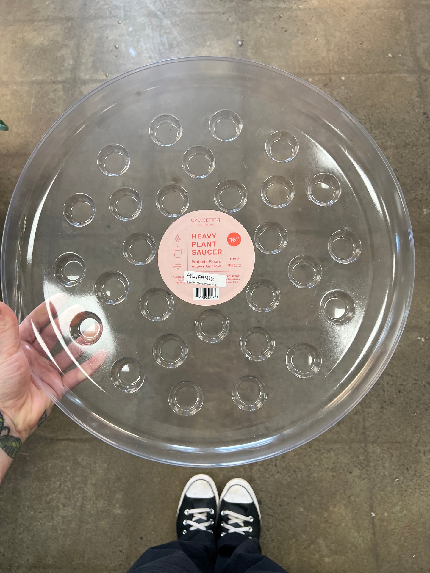 Assiette Transparente