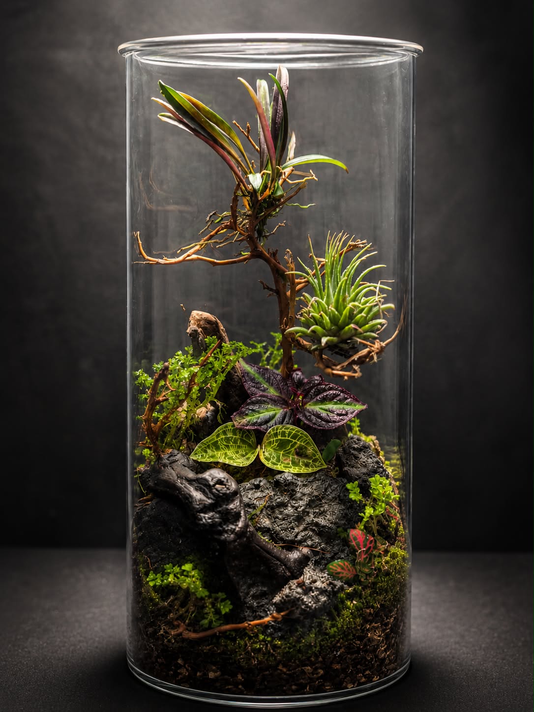 Terrarium Tropical