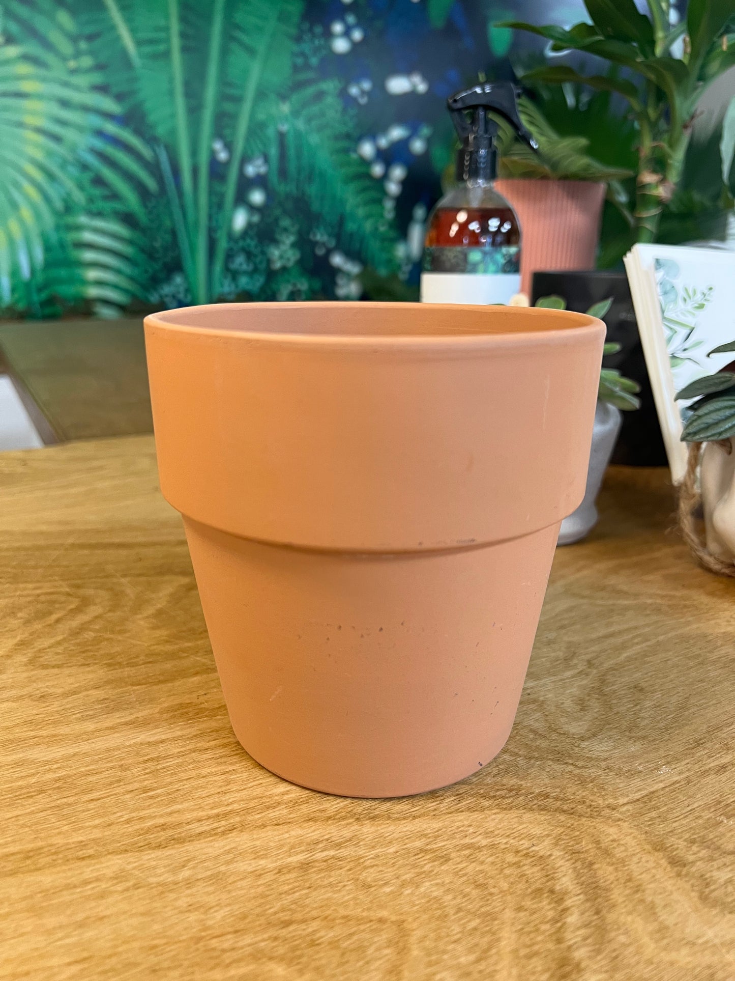 Pot Clay Amy Terra cotta