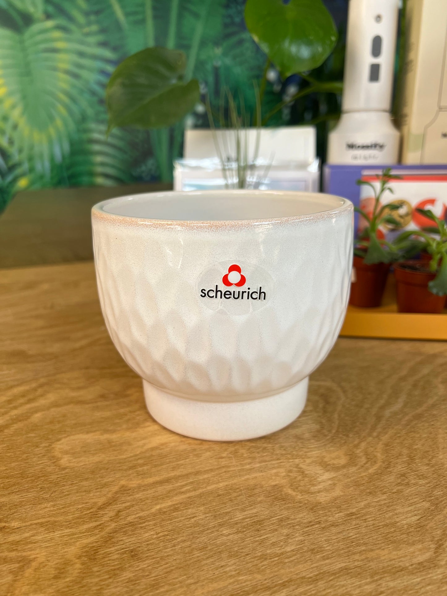 African flowerpot