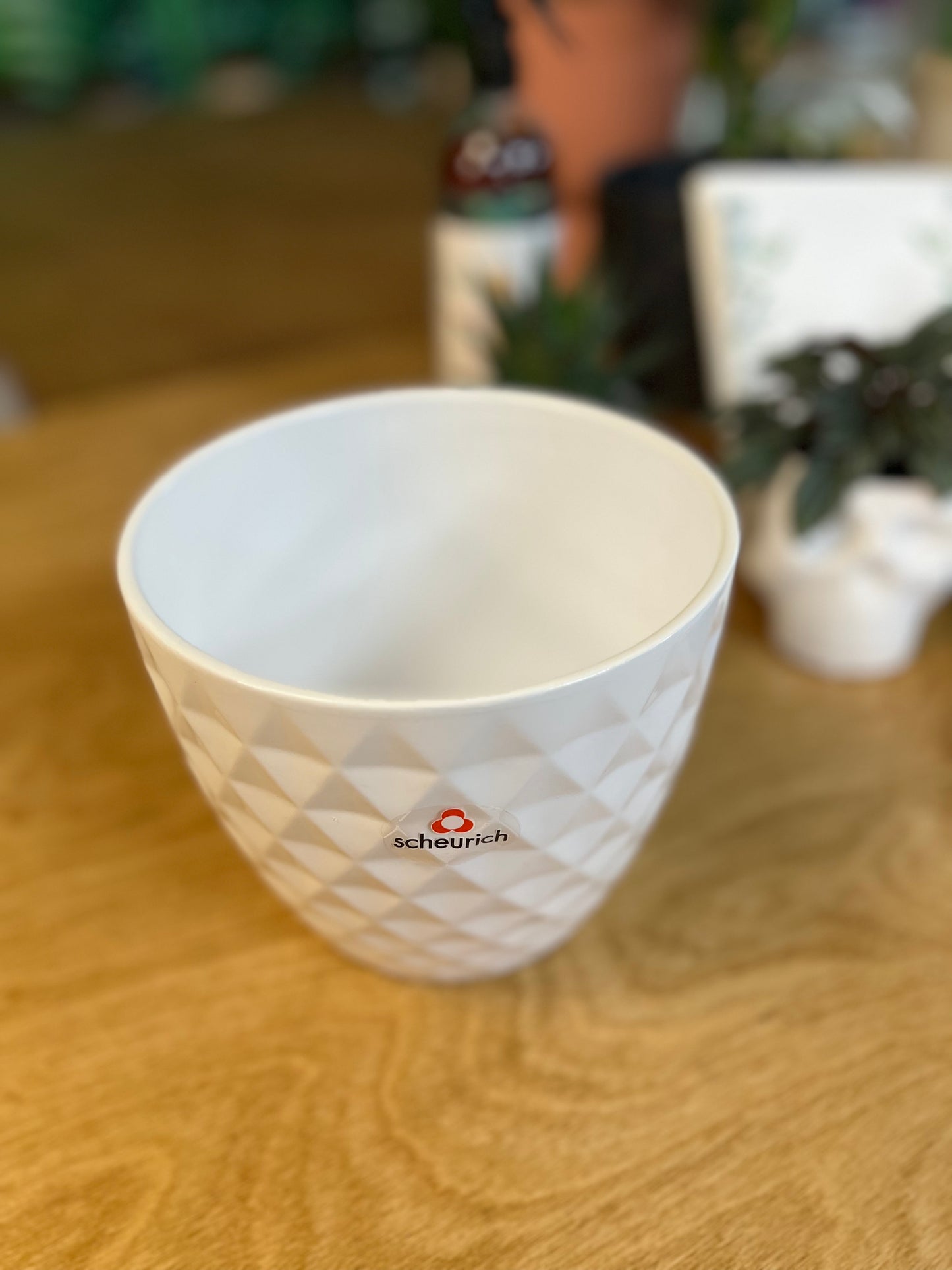 Alaska White Planter