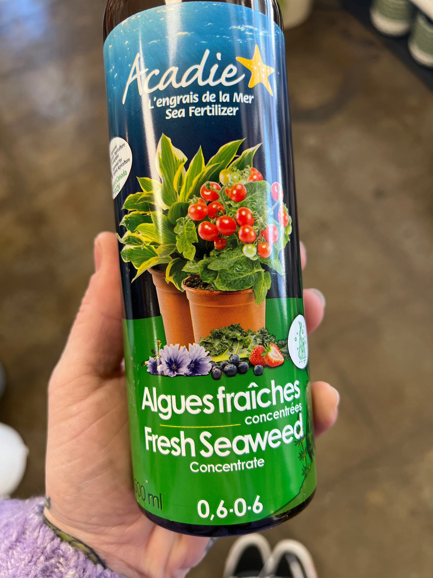 Fresh Seaweed Fertilizer