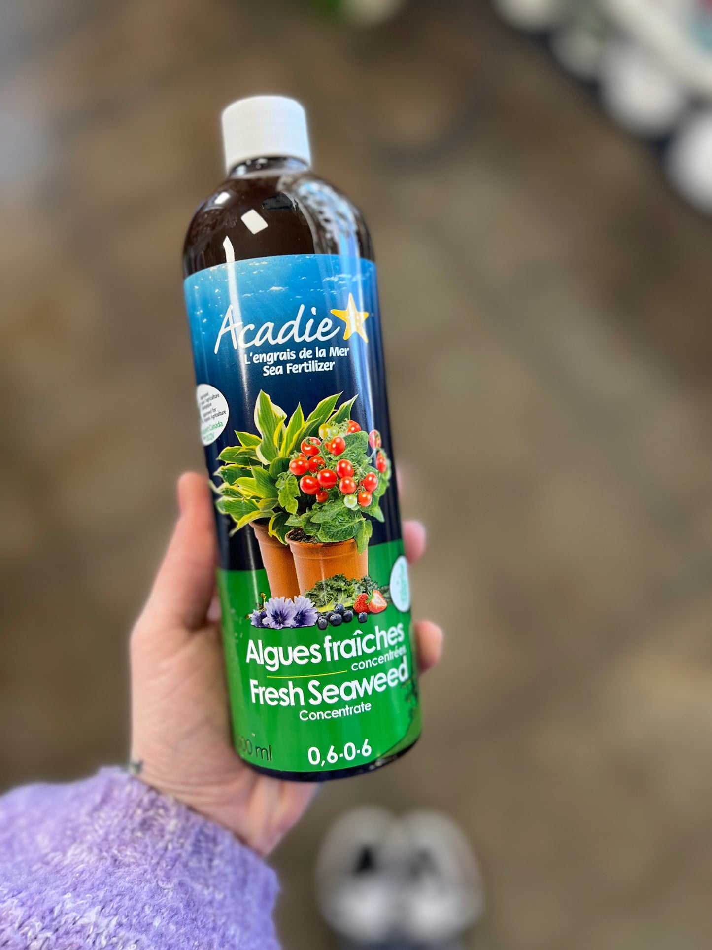 Fresh Seaweed Fertilizer