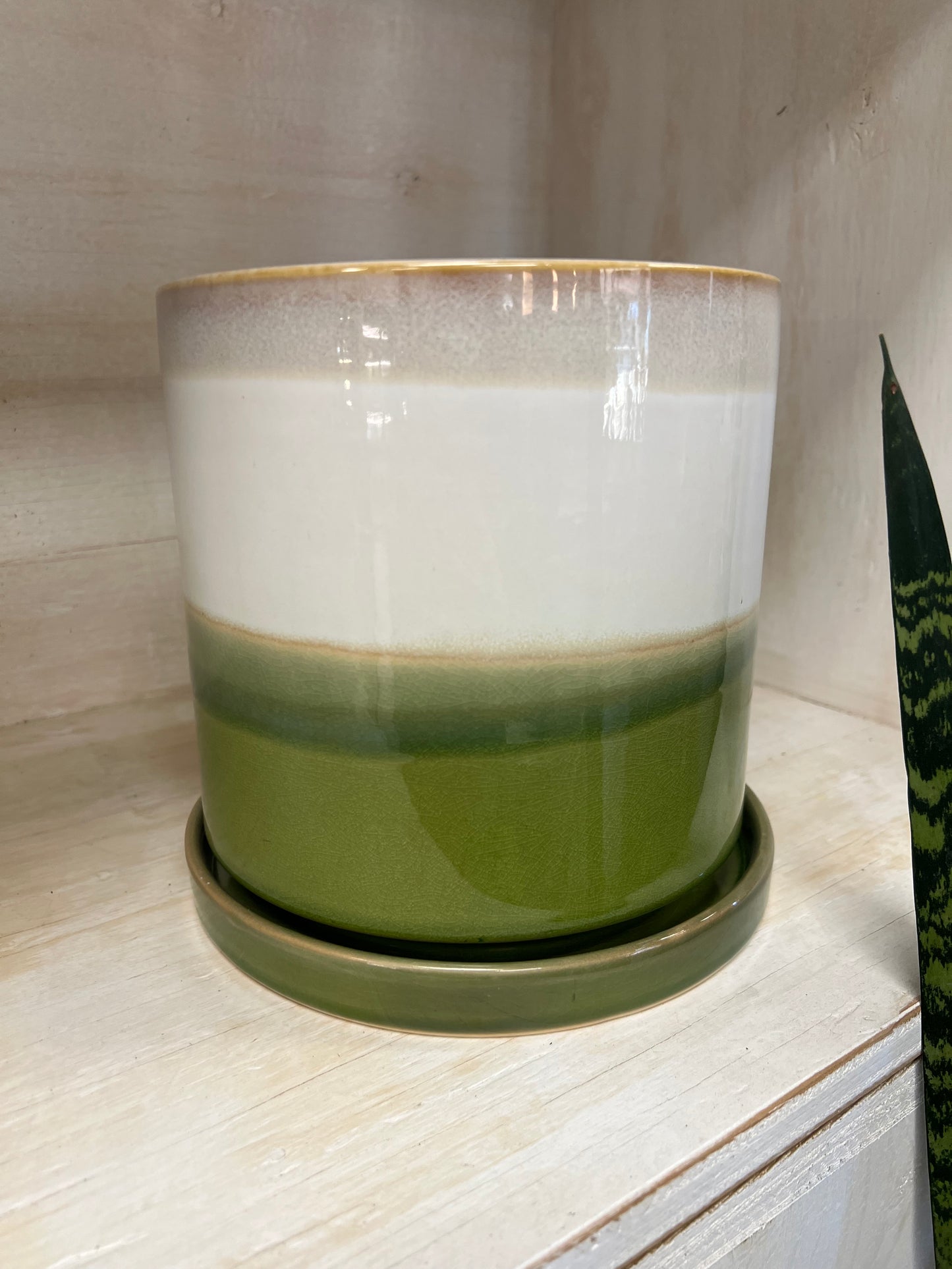 Minute Green Pot & Saucer