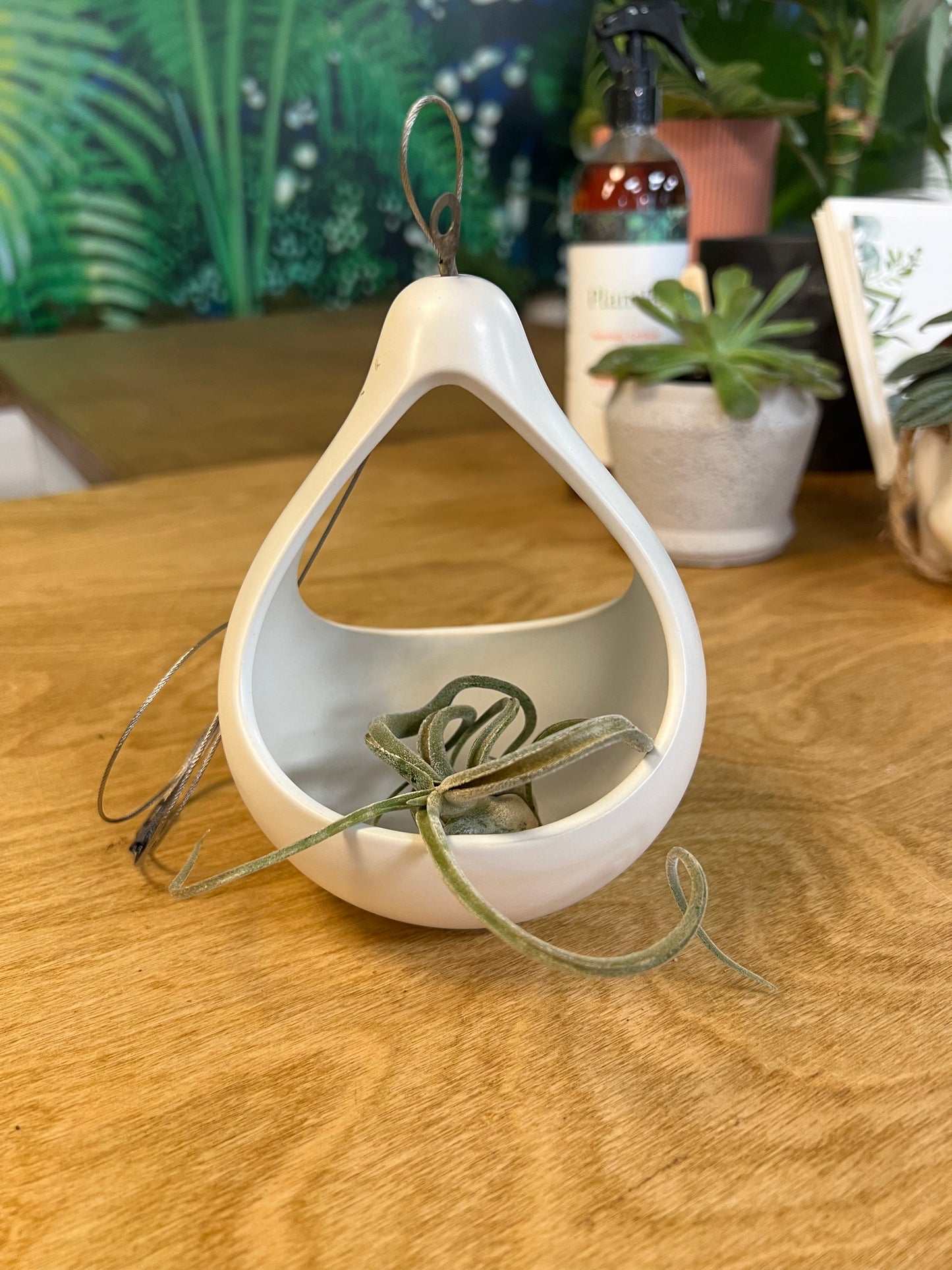 White Hanging Pot