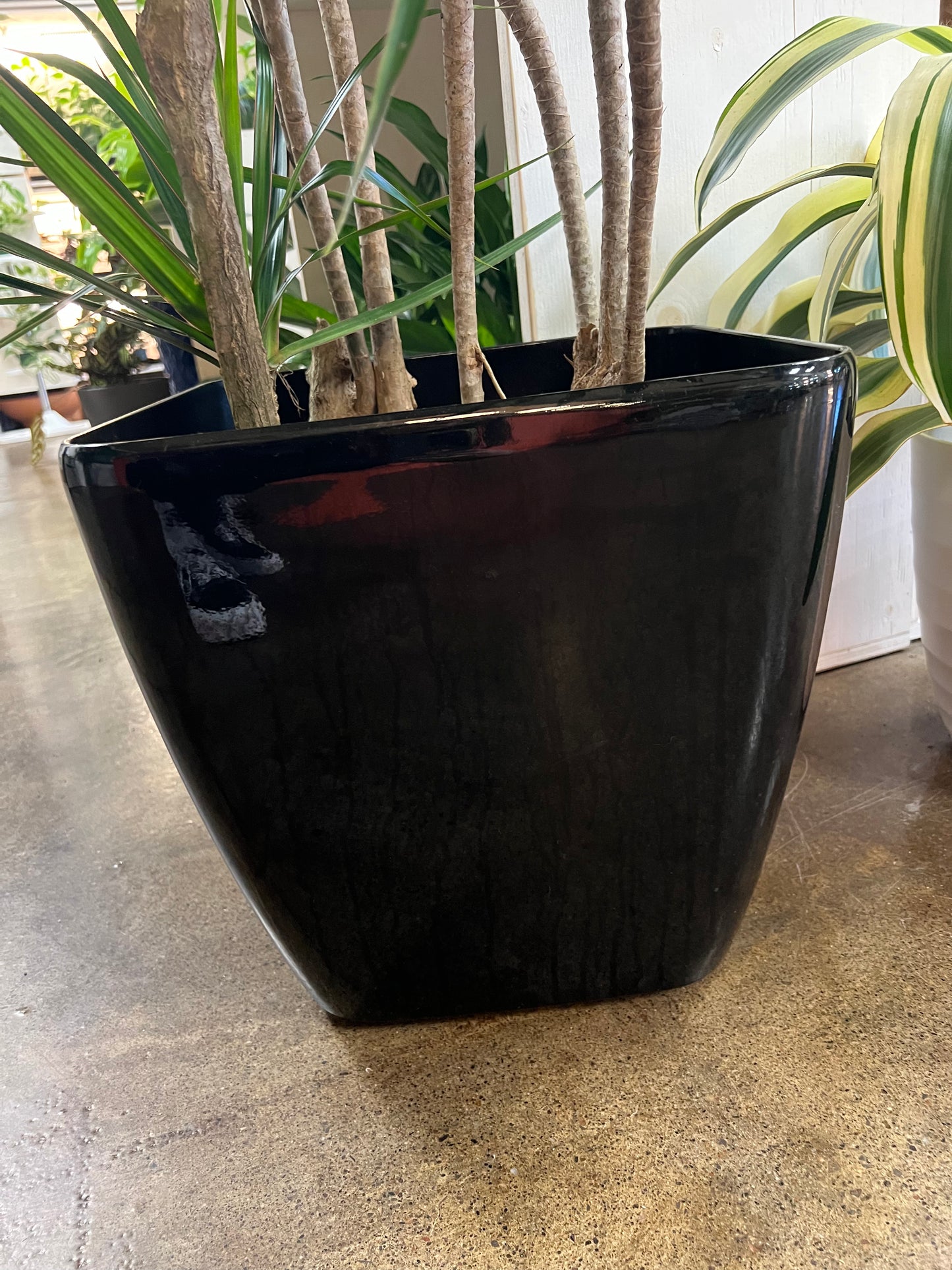 Black Quadrat Pot