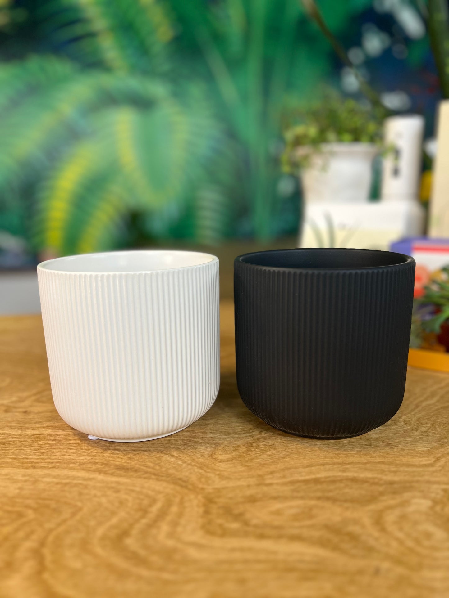 Delphine Asst. flower pot