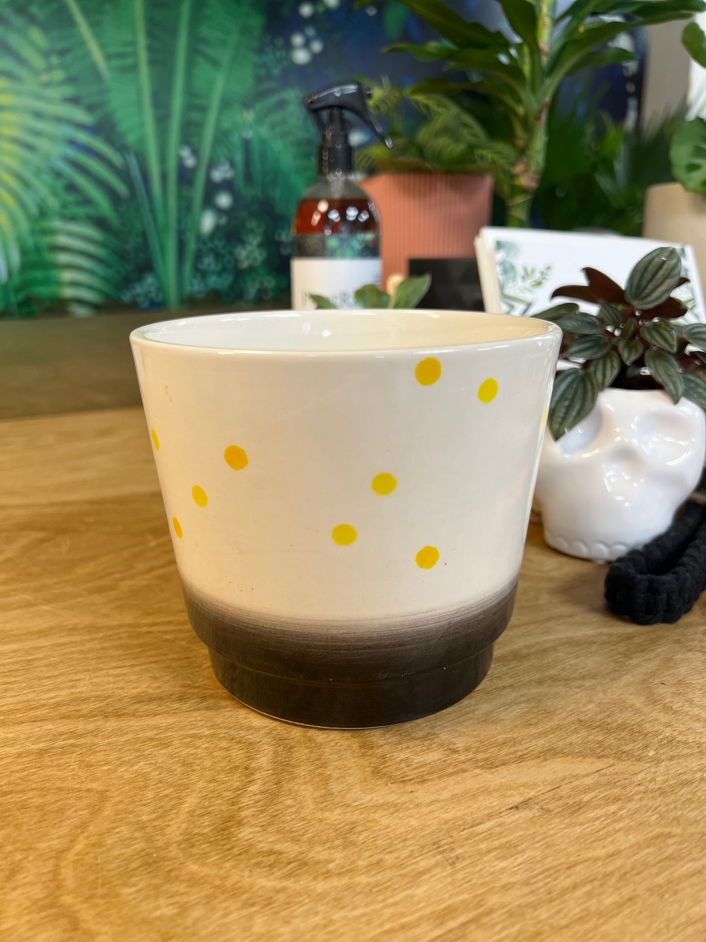 Cache pot Daejo Noire