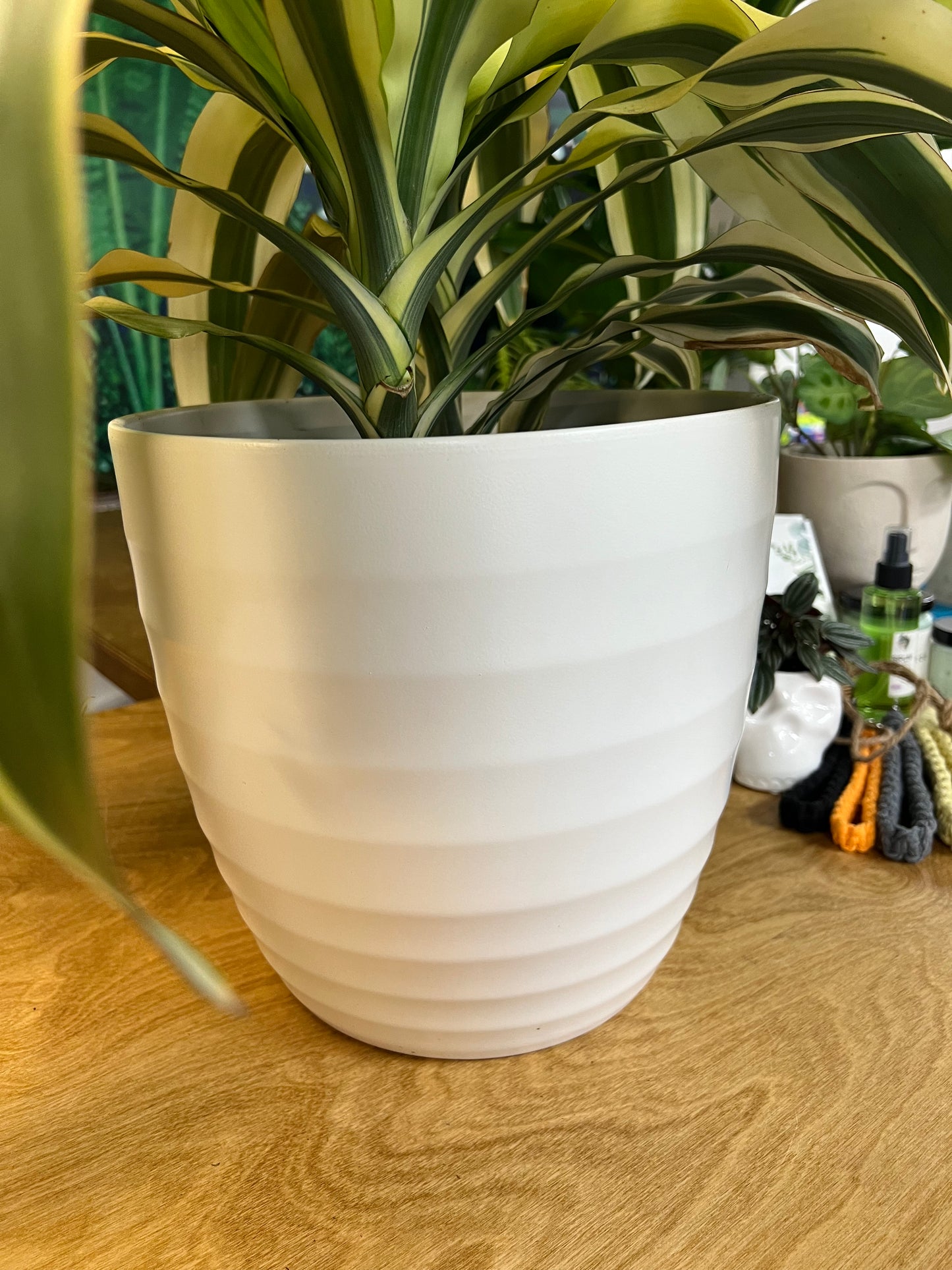 Cache pot Teku Blanc