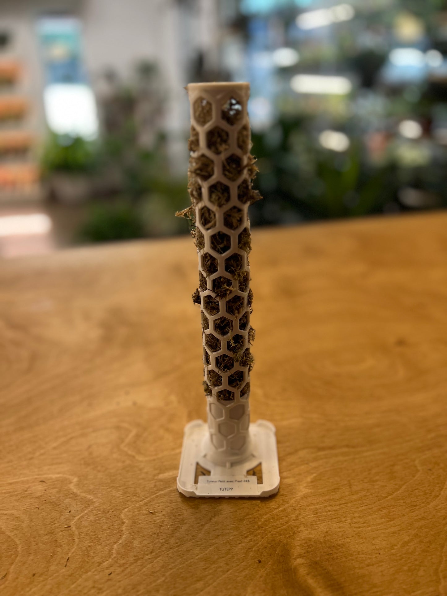 Tuteur Petit avec Pied