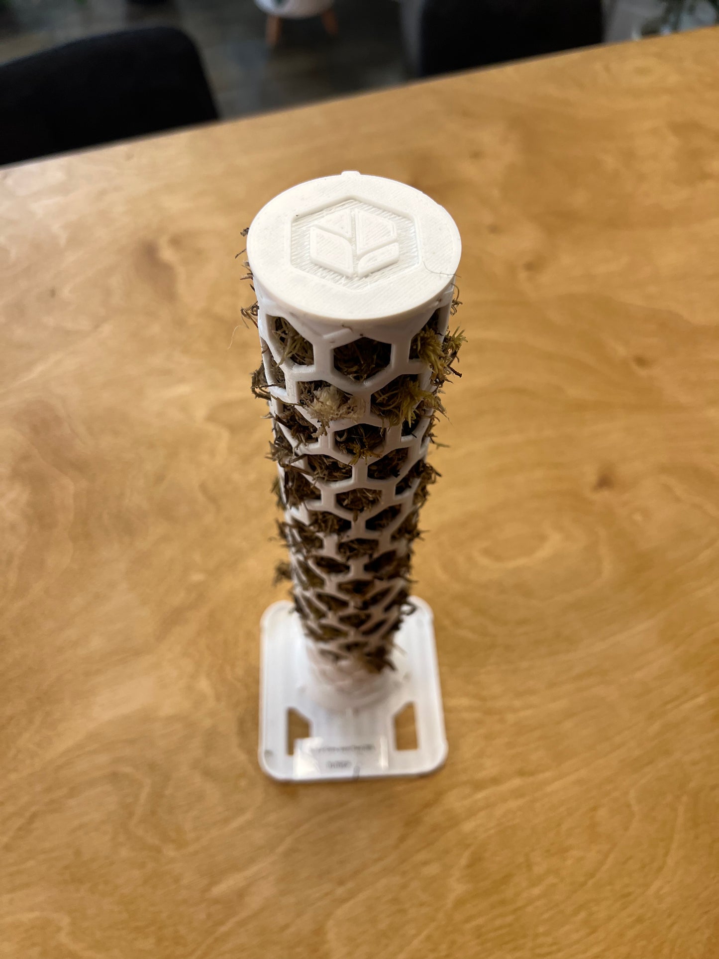 Tuteur Gros avec Pied