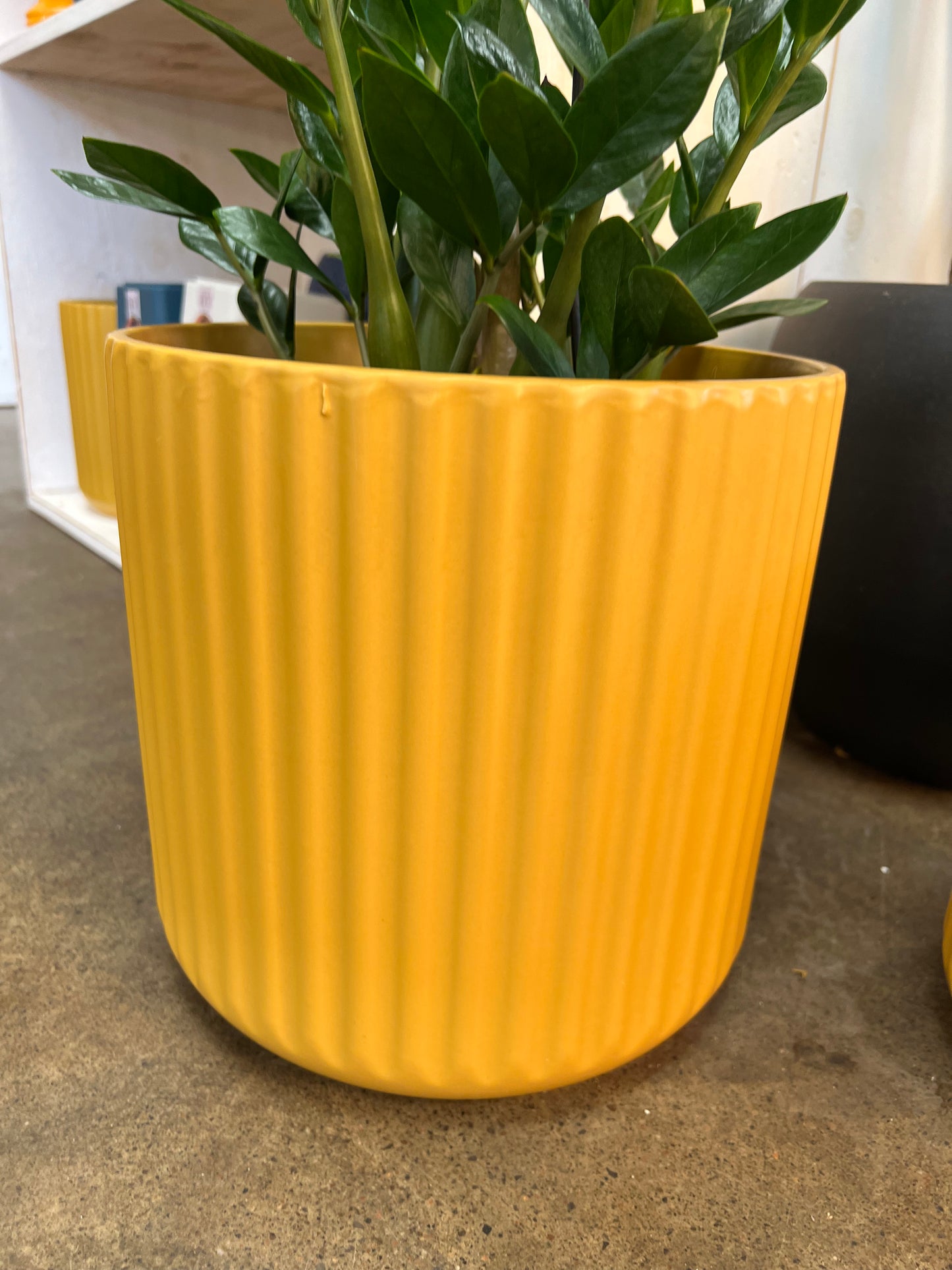 Cache pot Beam Ochre