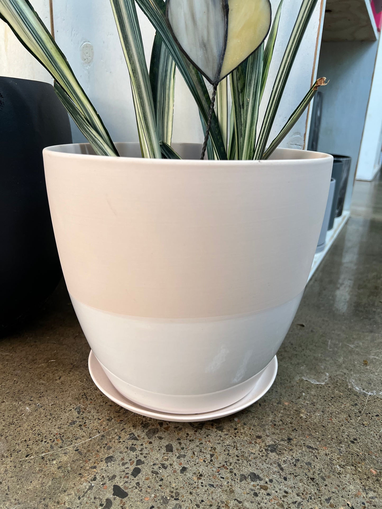 Pot & Soucoupe Dyad Rose