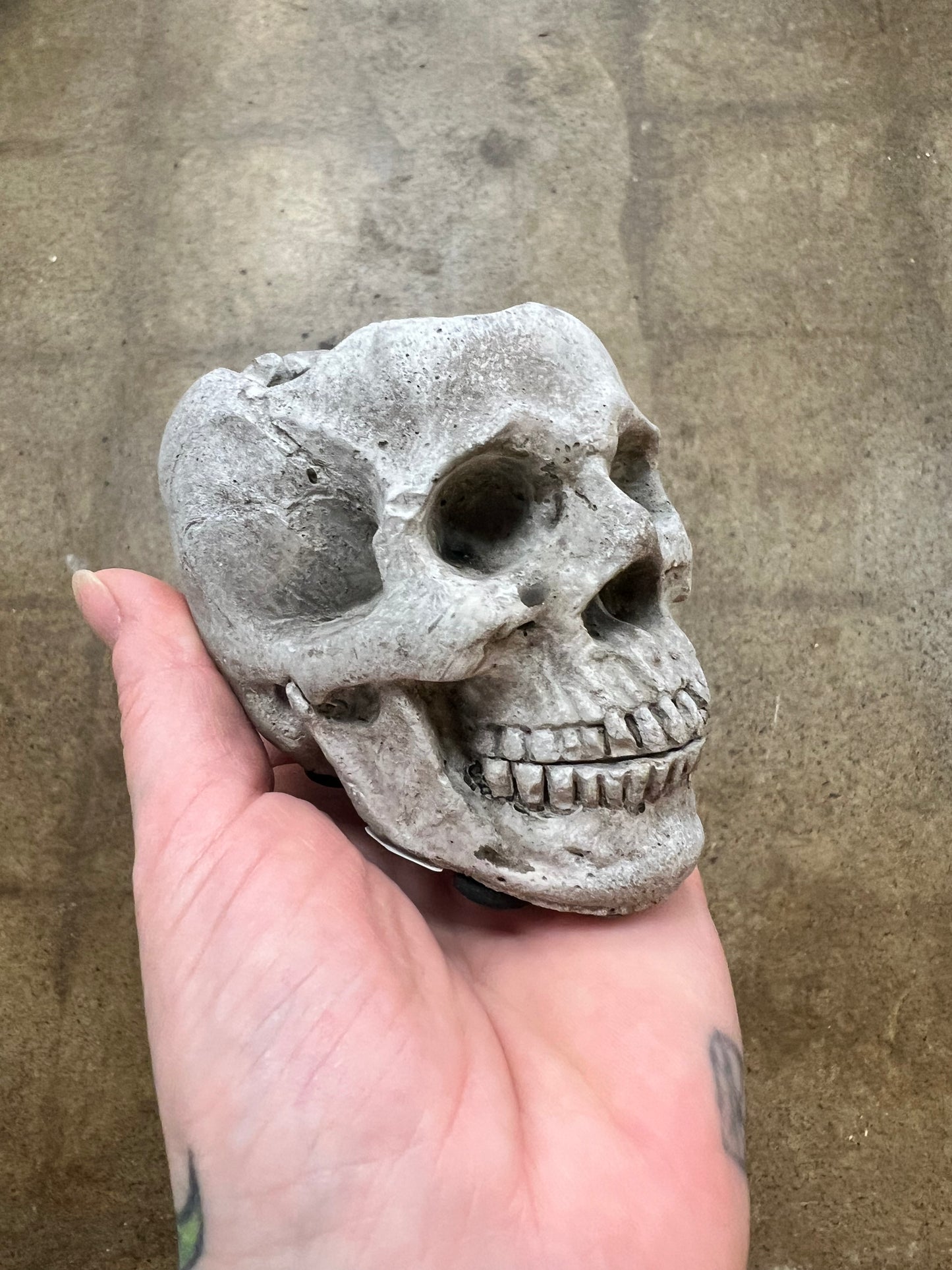 Cache pot Tête de mort