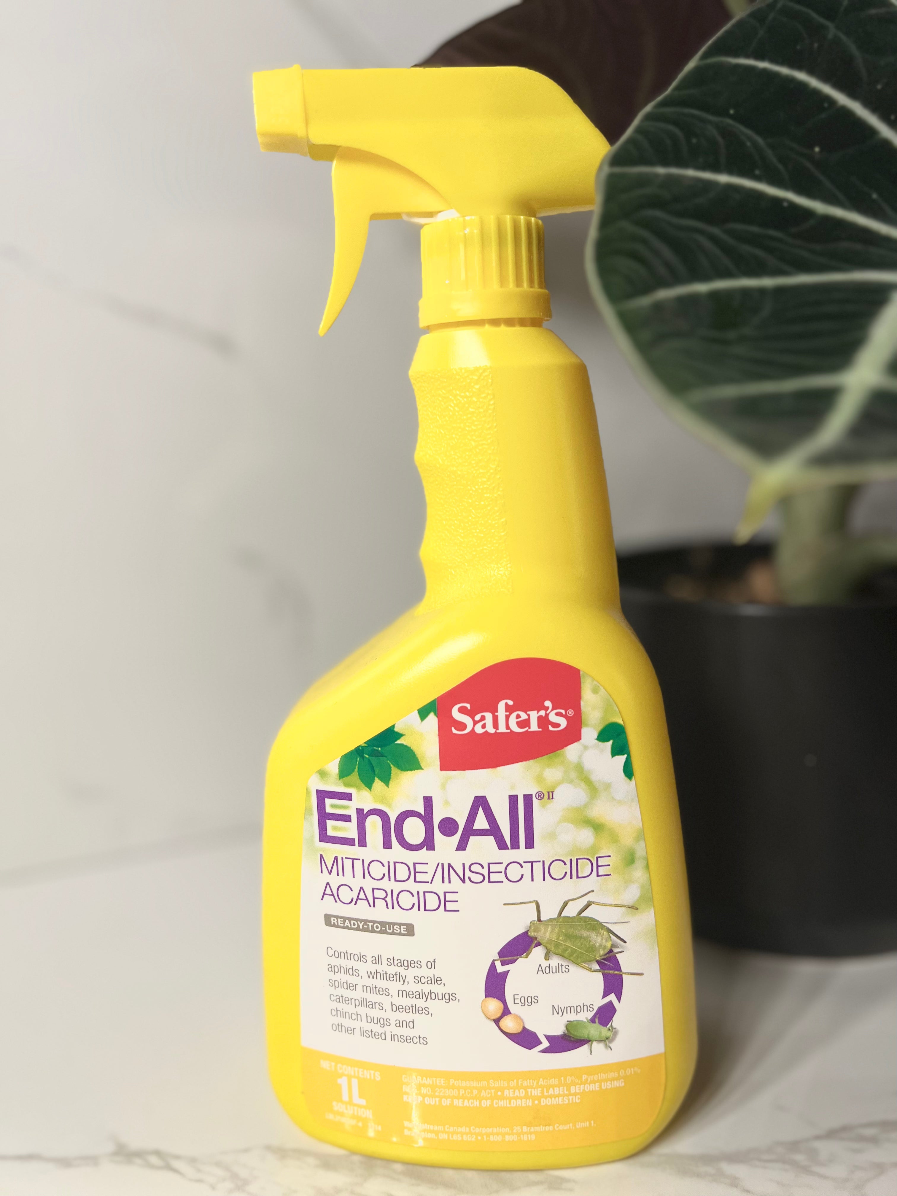 End All Insecticide How To Use