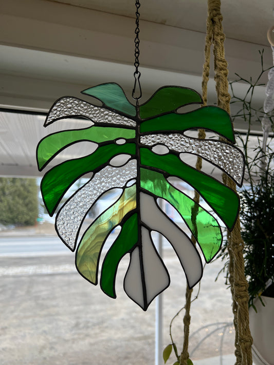 Vitrail Monstera