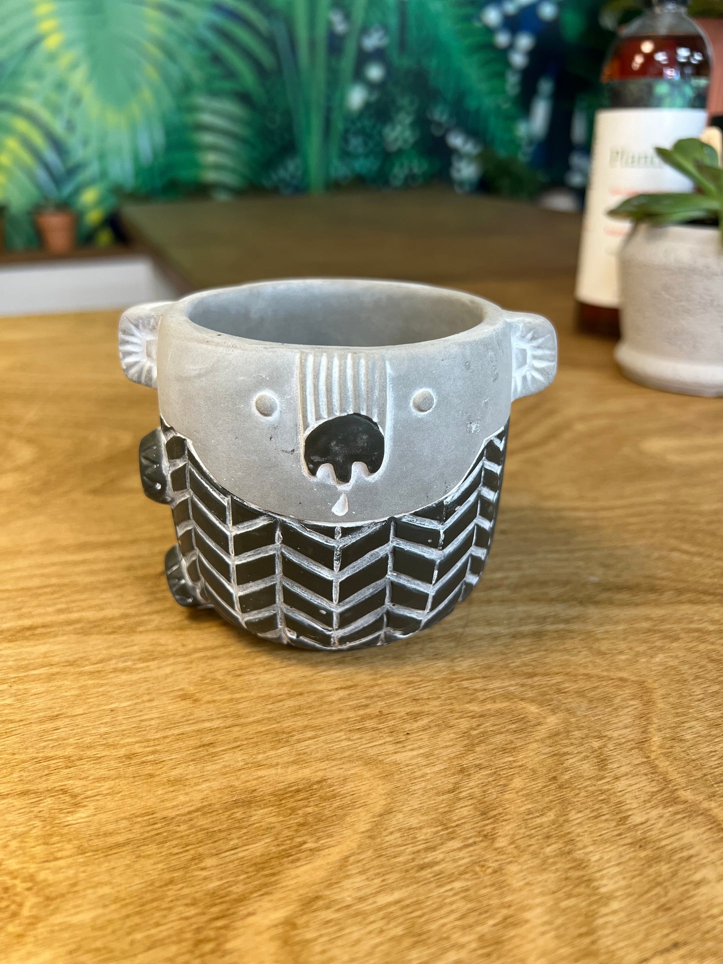 Cache pot Koala