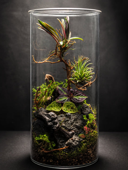 Terrarium Tropical