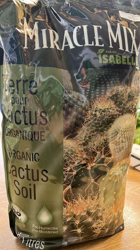 Terreau Cactus et Succulentes
