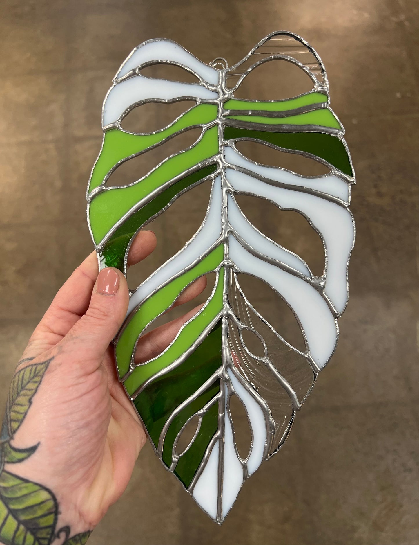 Vitrail Monstera Adansonii Albo
