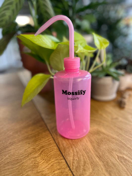 Mossify Éjecteur Rose