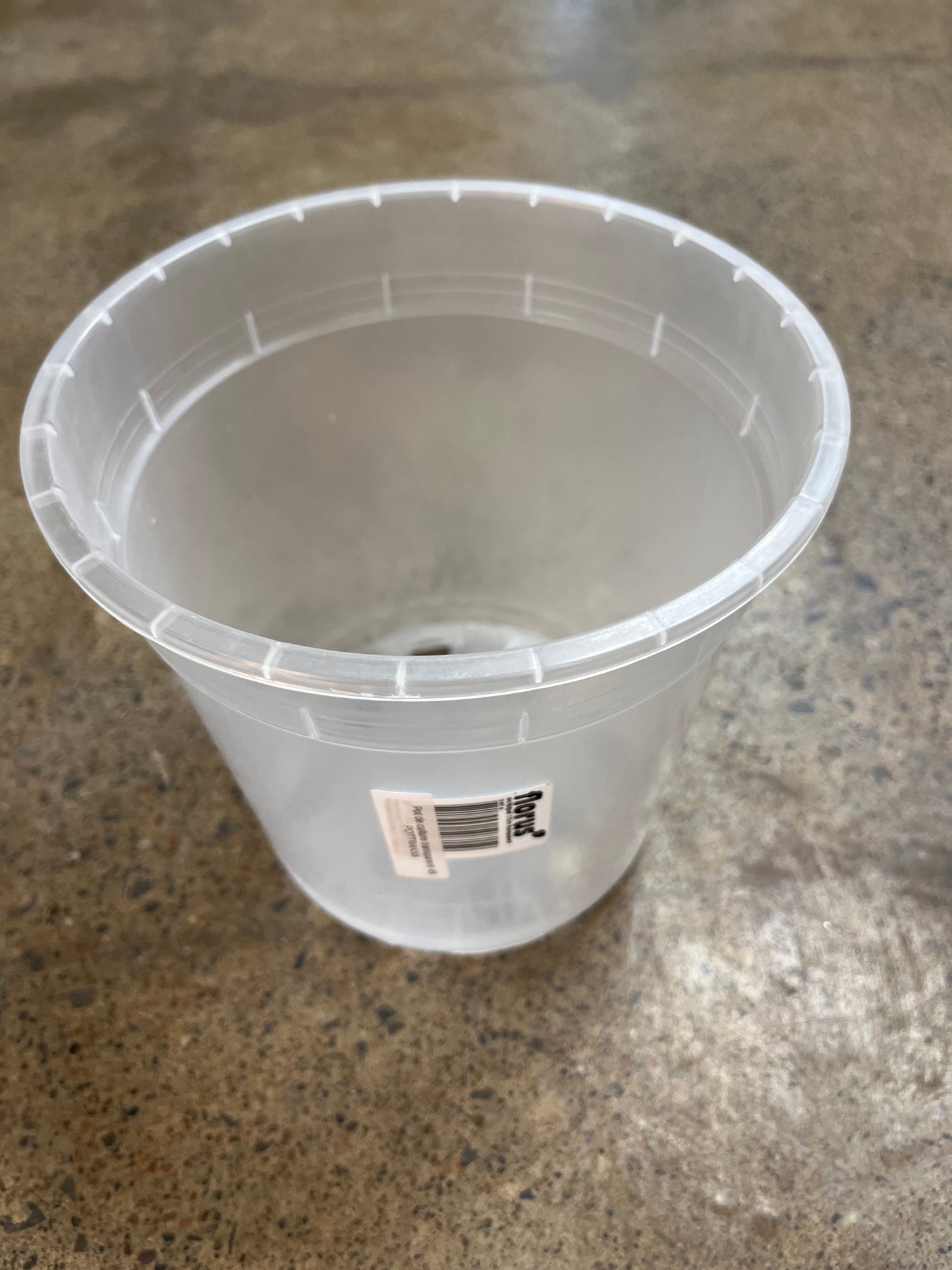 Pot de culture transparent