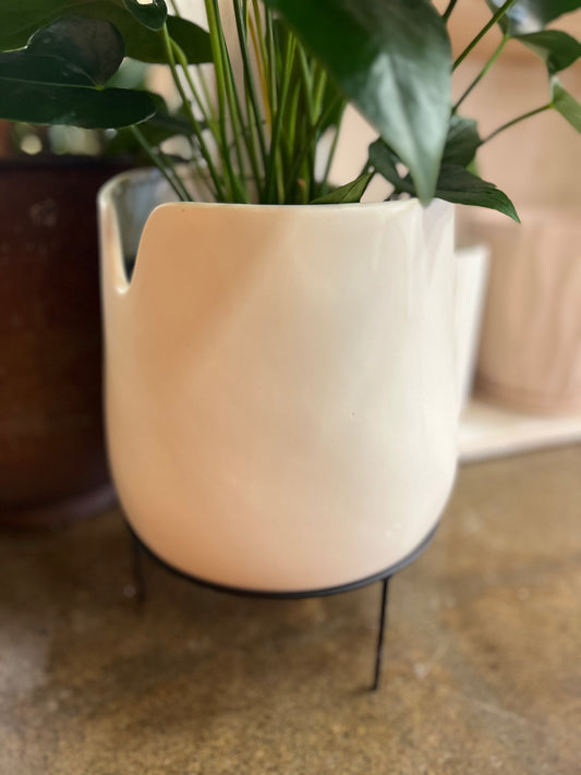 Cache pot Caldera