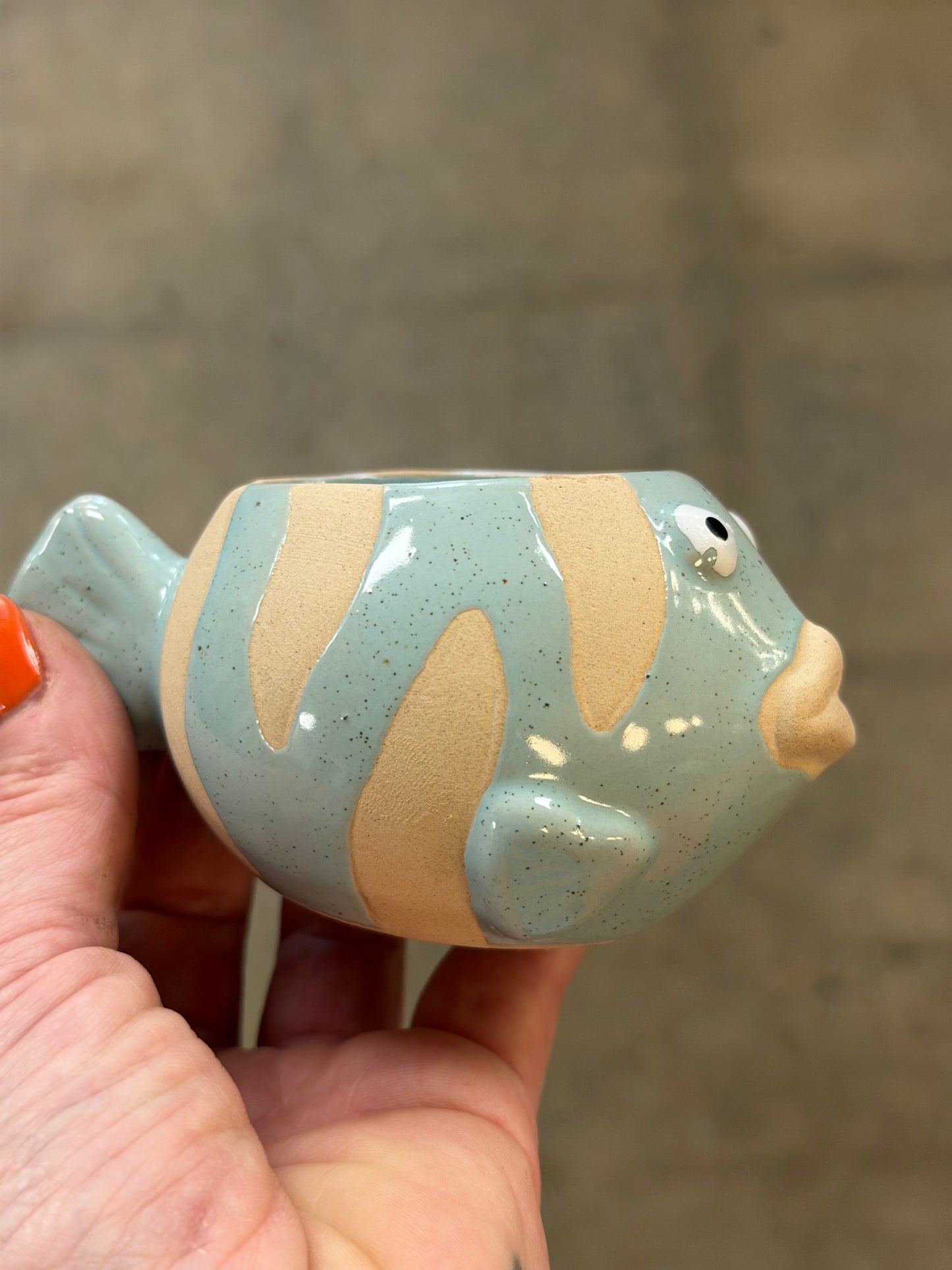 Cache pot Poisson