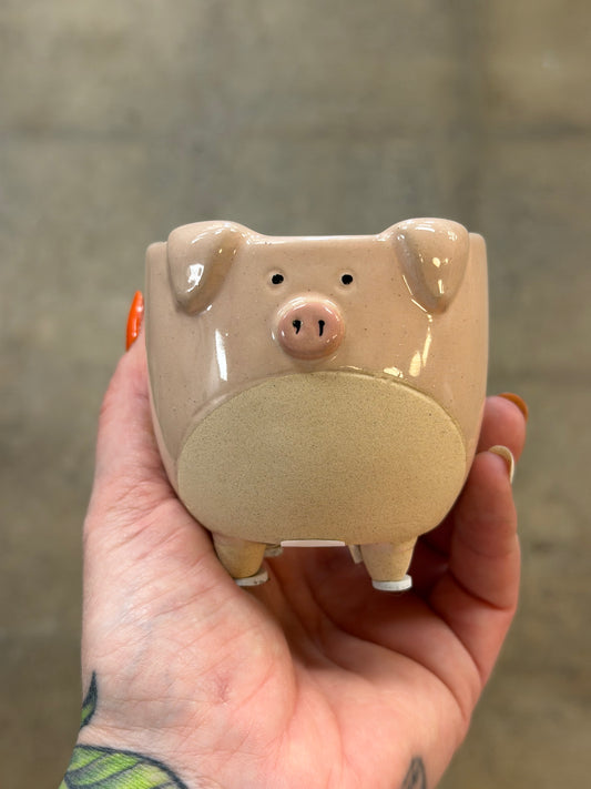Cache pot Cochon sur pattes