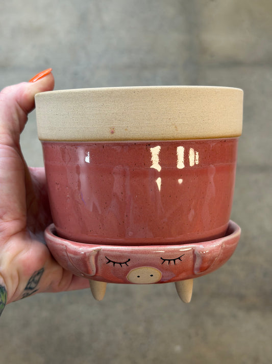 Cache pot Rosie
