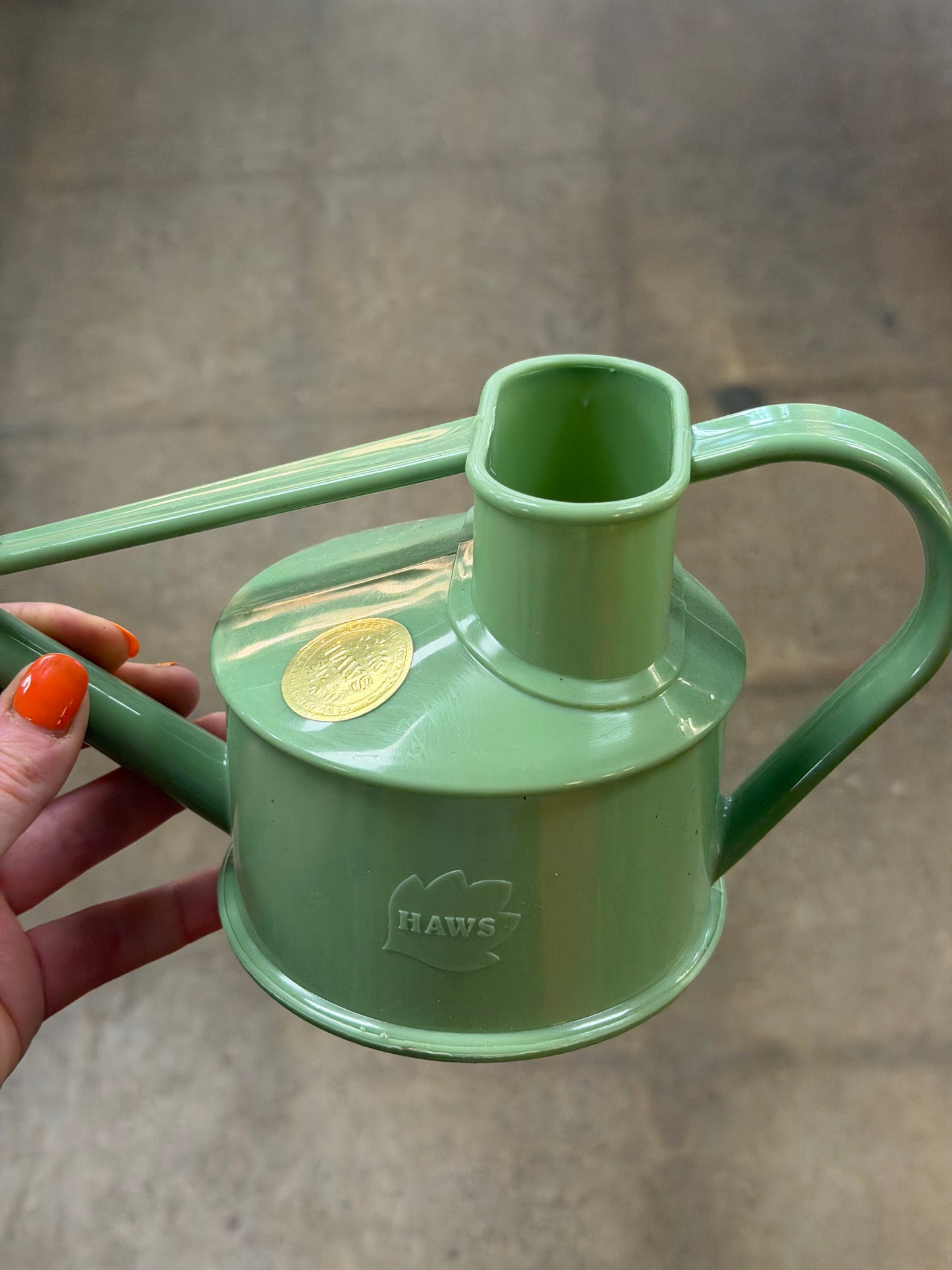 Arrosoir Bonsaï Vert menthe