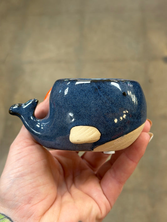 Cache pot Baleine Bleu