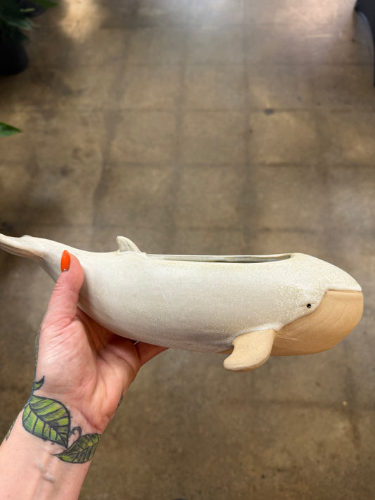 Cache pot Baleine