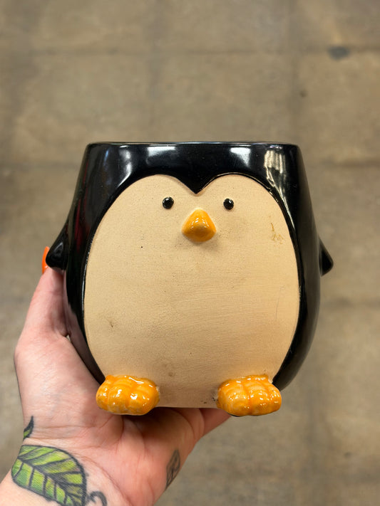 Cache pot Rico