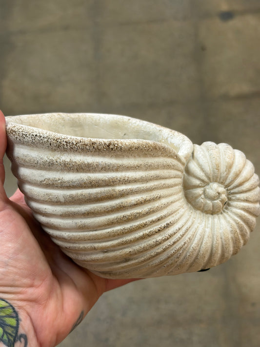 Cache pot Coquillage